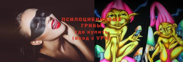 spice Пестово