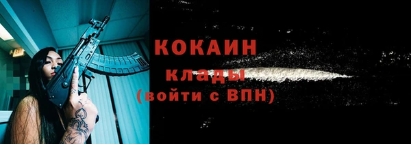 молекула духа Покров