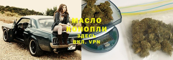 молекула духа Покров