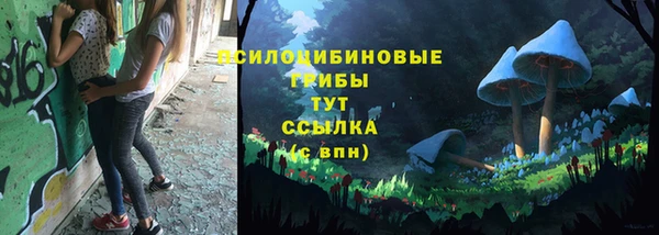 spice Пестово