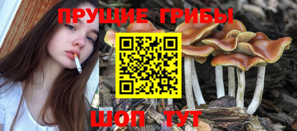 Псилоцибиновые грибы Magic Shrooms  Вход с VPN  Владикавказ 