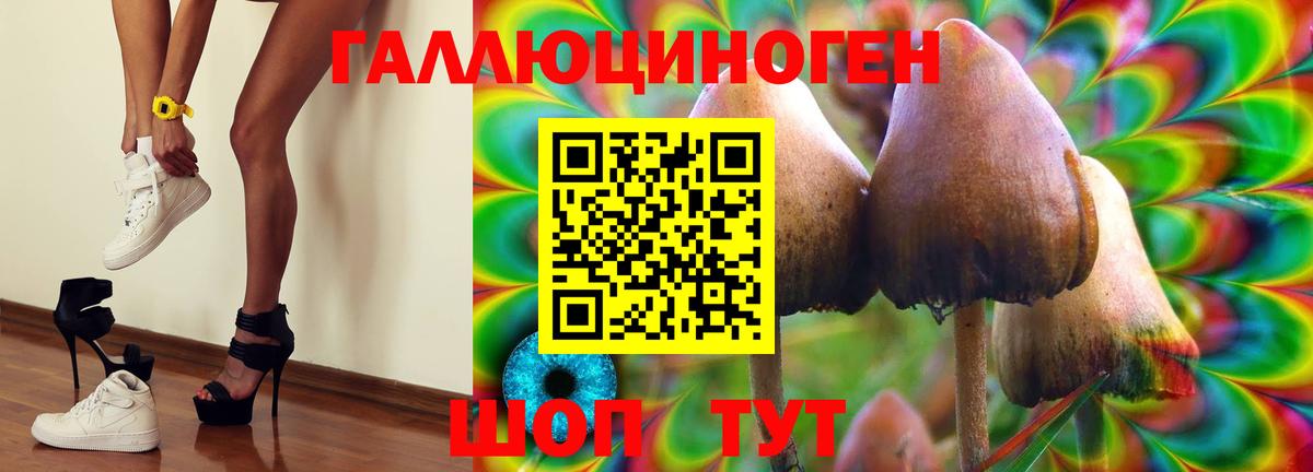 Галлюциногенные грибы Psilocybe Владикавказ