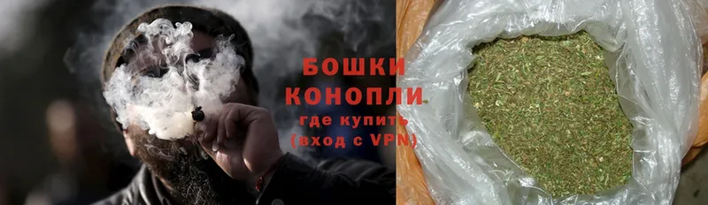 Конопля OG Kush  Владикавказ 