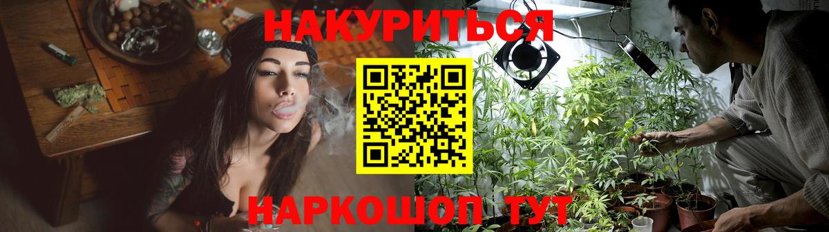 Марихуана сатива Владикавказ